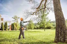 Best Tree Mulching  in Glen Rock, NJ